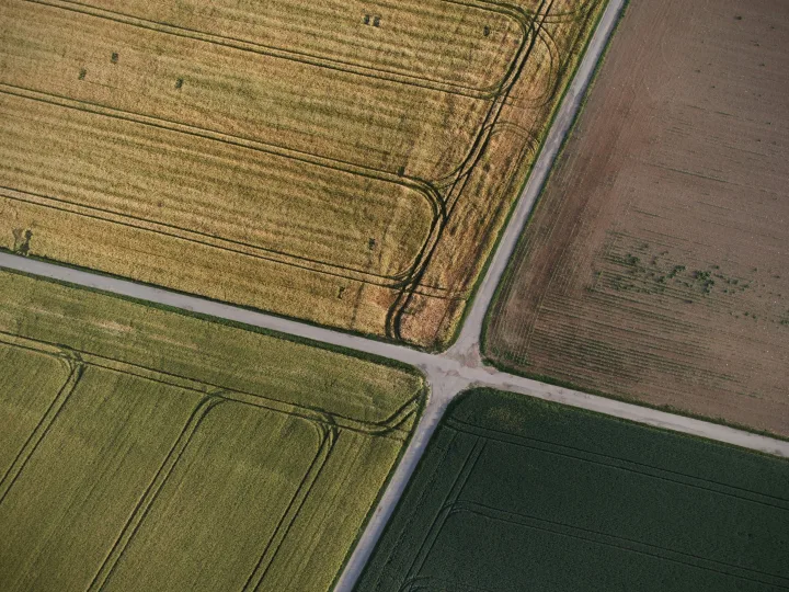 Land parcel and internal road view for Total Environment Yelahanka